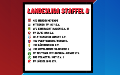 Das sind unsere Landesliga-Gegner: