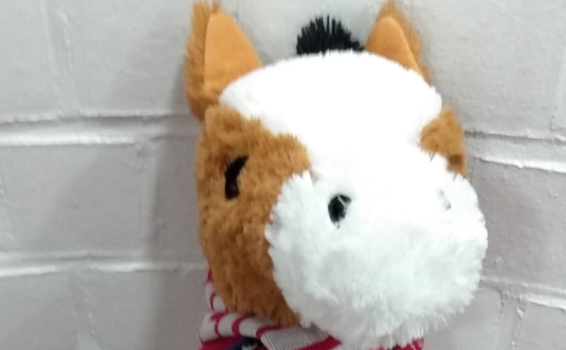 F-Jugend: Auswärtssieg in Gevelsberg 🥳 HSG Herdecke/Ende präsentiert Neuzugang 🐴